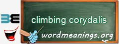 WordMeaning blackboard for climbing corydalis